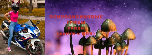 хмурый Гатчина