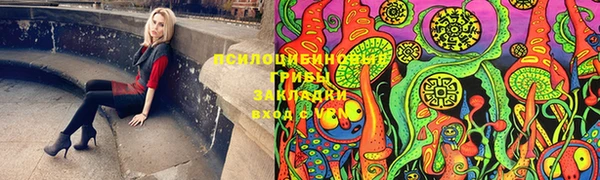 прущая мука Баксан