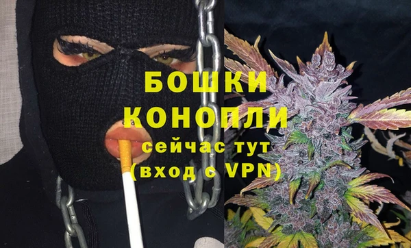 МДПВ Сосновый Бор
