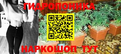 гашиш Аргун