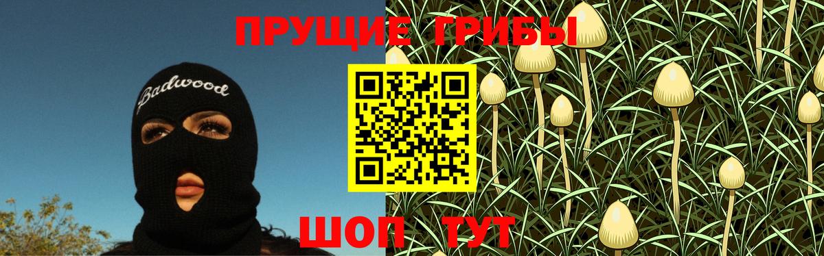Белебей  Галлюциногенные грибы прущие грибы  Вход с VPN 