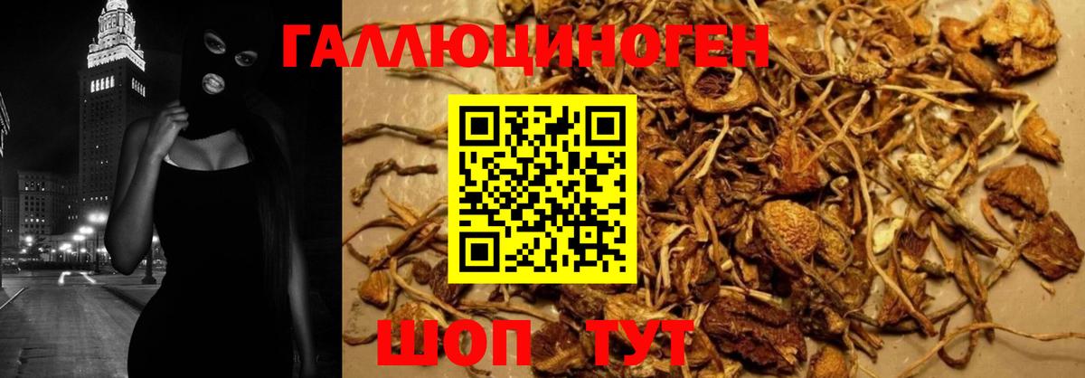 Галлюциногенные грибы Cubensis  Белебей 